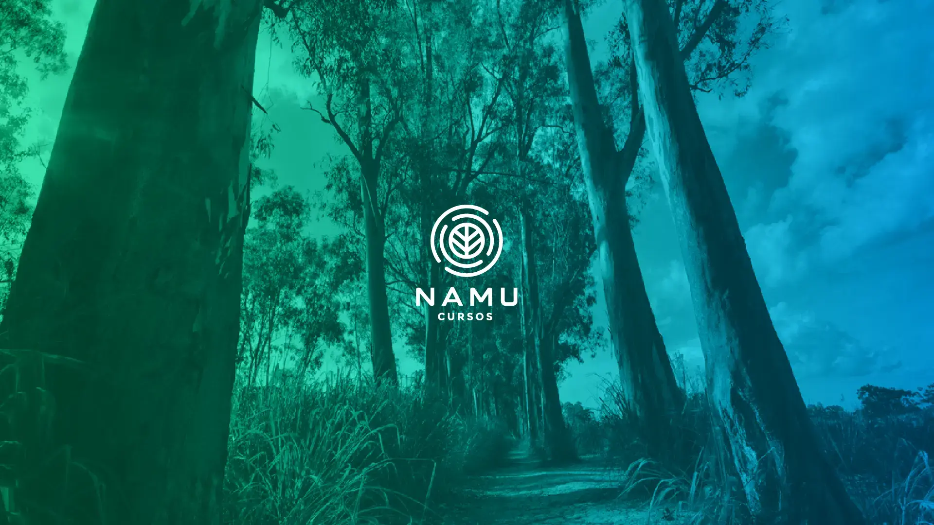 Namu Cursos: Building Brazil's First Quality-of-Life E-Learning Platform